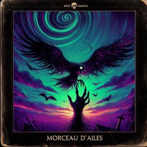 Morceau d'ailes