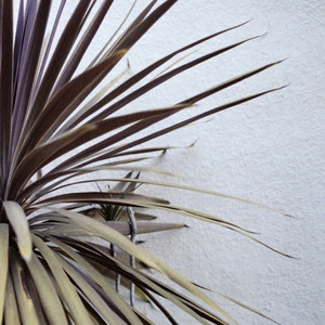 If you fight you lose