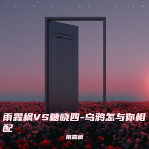 雨霖枫VS糖晓四-乌鸦怎与你相配