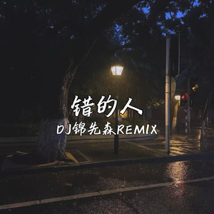 错的人 (Dj锦先森 remix)