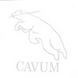 Cavum