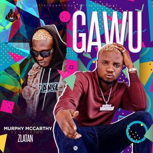 Gawu (feat. Zlatan) [Explicit]