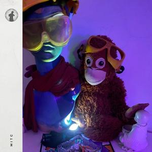 zweckentfremdet (Explicit)