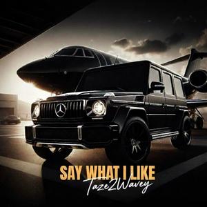Say What I Like (Explicit)