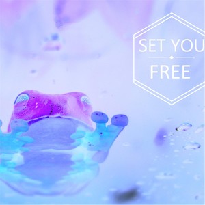 Set You Free