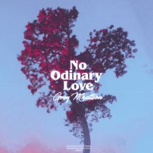 No Ordinary Love