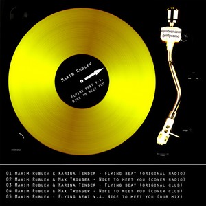 Nice to meet you (Radio Edit)