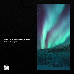 For the Night (Extended Mix)