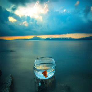 海阔天空