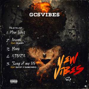 New Vibes (Explicit)