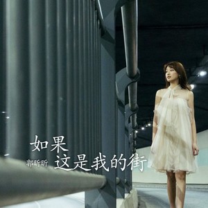 如果这是我的街