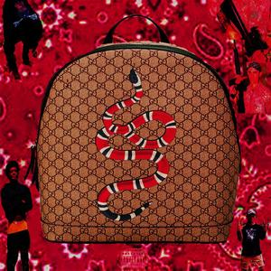 Gucci Bag (feat. Kingcalepsi) [Explicit]