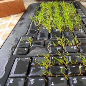 hirsizlik bizim isimiz (Phiec, CATO1948 & waif Remix|Explicit)