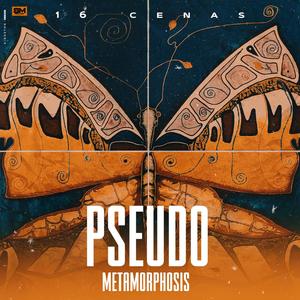 Pseudo Metamorphosis (Explicit)