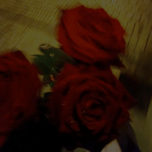 brand new (Explicit)