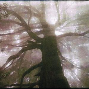 looping_memories