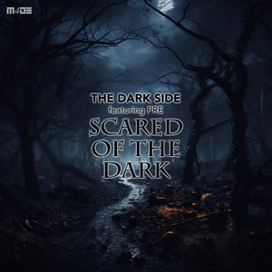 Scared Of The Dark (DJ Tool)