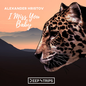 I Miss You Baby (Original Mix)