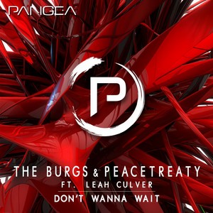 Don't Wanna Wait(ft. Leah Culver)