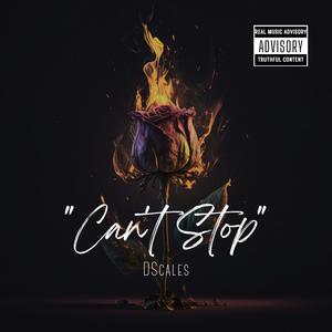 Can't Stop (Explicit)