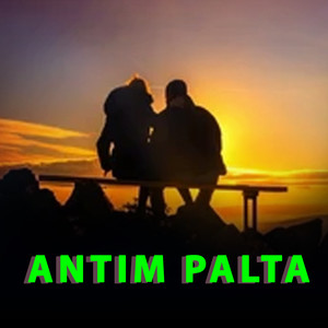 ANTIM PALTA