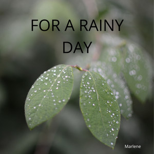 For A Rainy Day