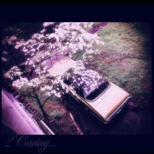 2 Caring (feat. ZWoods) (Explicit)