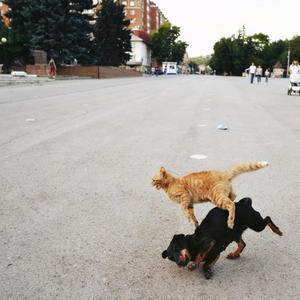 Quasi Stellar Radio Source