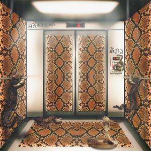 BÖA (feat. Unochrisis) (Explicit)