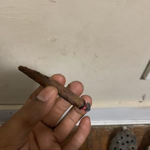 Blunt