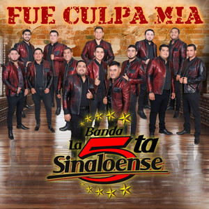 Fue Culpa Mía