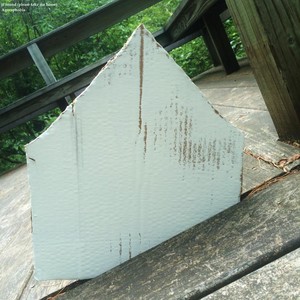 If Found(Please Take Me Home)