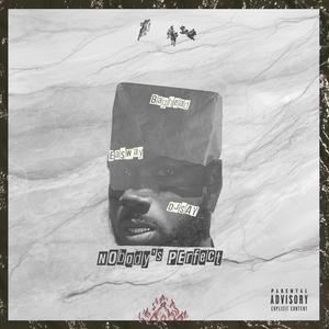Nobody's Perfect (Explicit)