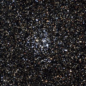 og pack (toro) (Explicit)