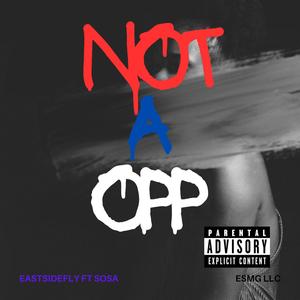 not a opp (feat. EASTSIDEFLY & sosa) (Explicit)