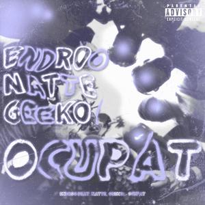 Ocupat! (feat. Natte & geeko!) (Explicit)