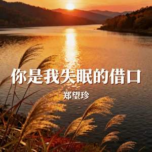 你是我失眠的借口