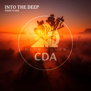 Lost in Deep