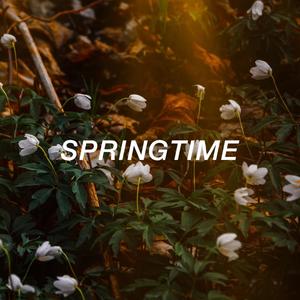 Springtime (Your Love Is)