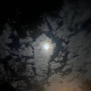 blackheartemoji (feat. Sxnny18) (Explicit)