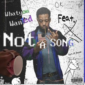 Not A SONG (Interlude)