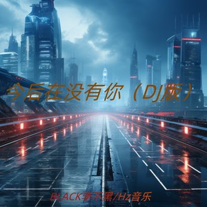 今后在没有你 (DJ版)