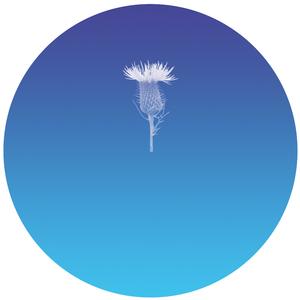 I'd Rather Have Love