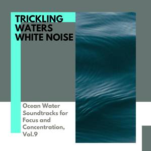 Trickling Waters White Noise - Ocean Water Soundtracks for Focus and Concentration, Vol.9