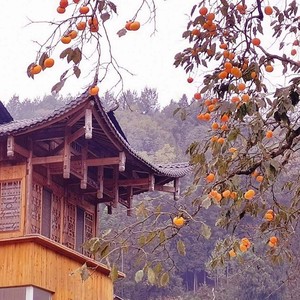 薅秧情歌