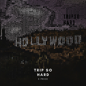 TRIP SO HARD (Explicit)