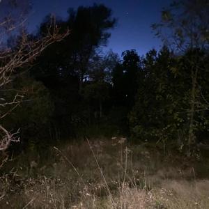 Connoisseur (p. @akrzn) (Explicit)