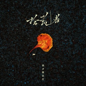 拾荒者 (伴奏)封面