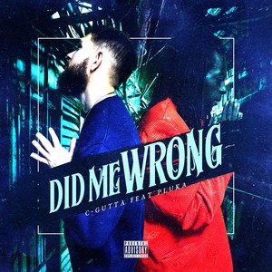 Did Me Wrong (feat. Pluka) [Explicit]