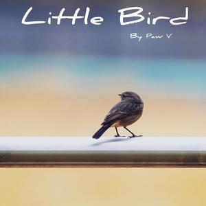 Little Bird